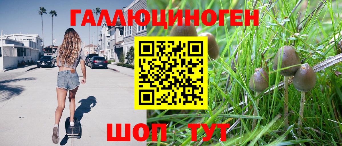 Псилоцибиновые грибы мицелий Янаул